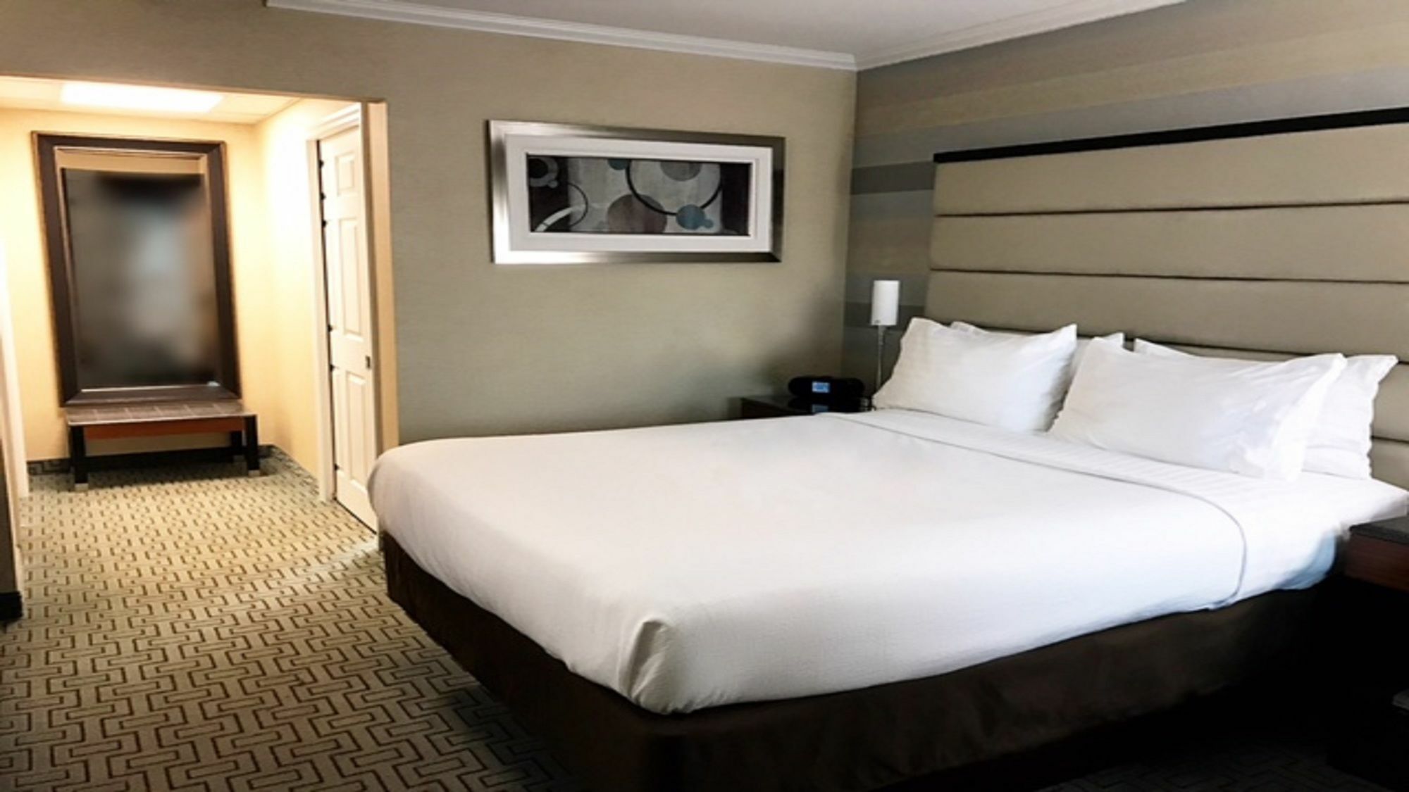 Holiday Inn Plainview-Long Island By Ihg Екстер'єр фото